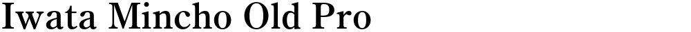 Iwata Mincho Old Pro