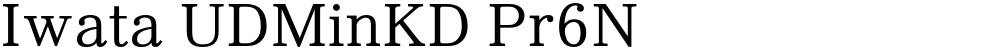 Iwata UDMinKD Pr6N