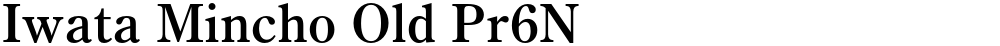 Iwata Mincho Old Pr6N