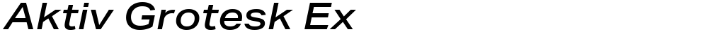 Aktiv Grotesk Ex