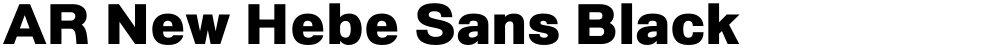 AR New Hebe Sans Black