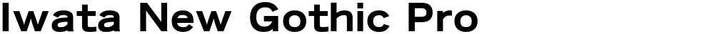 Iwata New Gothic Pro