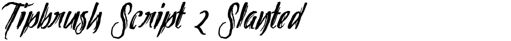 Tipbrush Script 2 Slanted