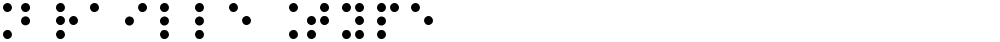 Braille Type