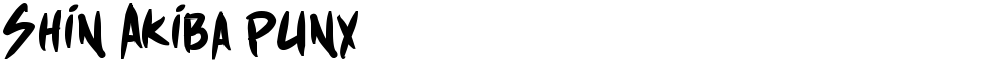 Shin Akiba punx