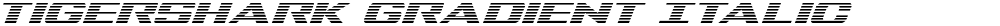 Tigershark Gradient Italic