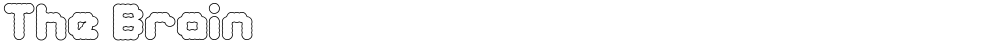 The Brain