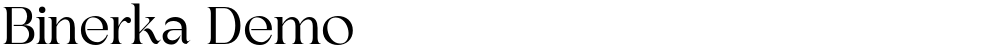 Binerka Demo