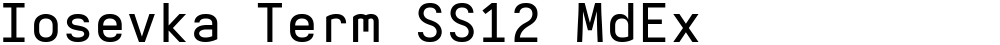 Iosevka Term SS12 MdEx