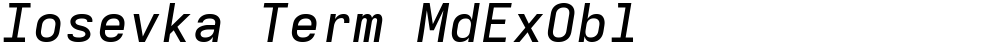 Iosevka Term MdExObl