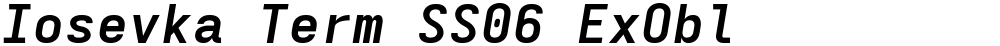 Iosevka Term SS06 ExObl