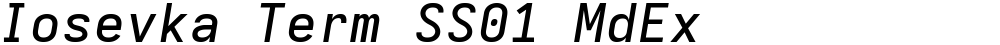 Iosevka Term SS01 MdEx