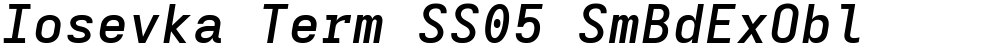Iosevka Term SS05 SmBdExObl