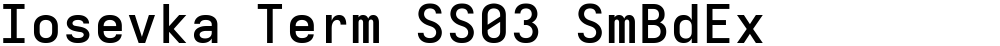 Iosevka Term SS03 SmBdEx