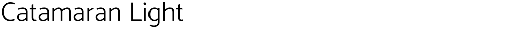 Catamaran Light