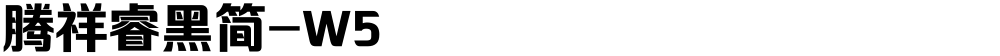 腾祥睿黑简-W5