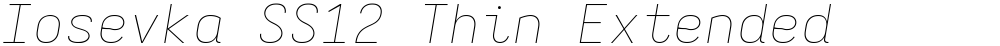 Iosevka SS12 Thin Extended