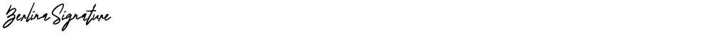 BerlinaSignature