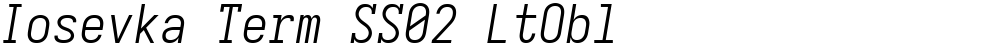Iosevka Term SS02 LtObl