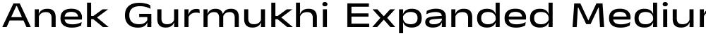 Anek Gurmukhi Expanded Medium