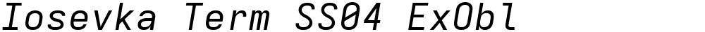 Iosevka Term SS04 ExObl