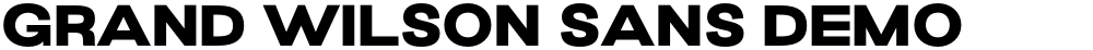 Grand Wilson Sans DEMO