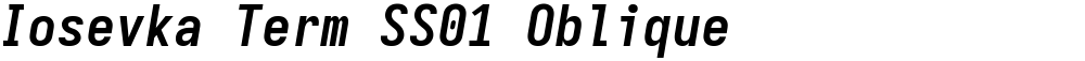 Iosevka Term SS01 Oblique