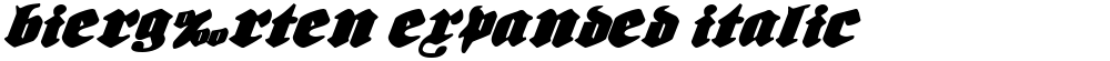 Bierg‰rten Expanded Italic