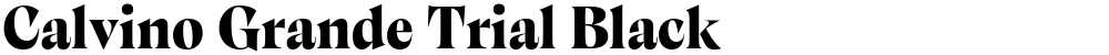 Calvino Grande Trial Black