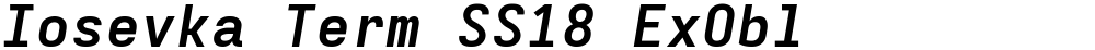 Iosevka Term SS18 ExObl