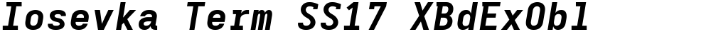 Iosevka Term SS17 XBdExObl