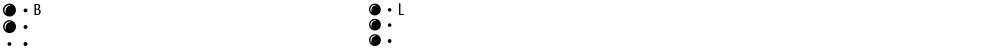 BrailleLatin