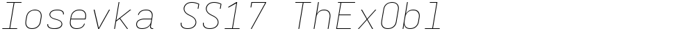 Iosevka SS17 ThExObl