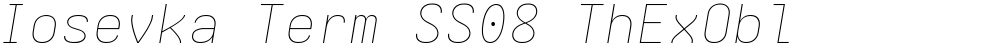 Iosevka Term SS08 ThExObl