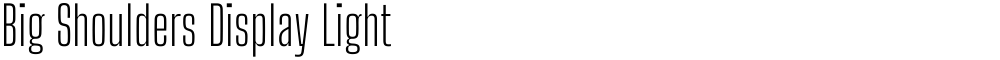 Big Shoulders Display Light
