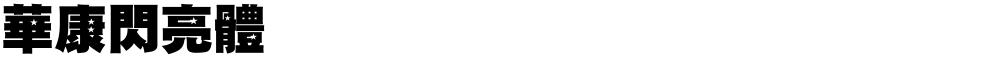 華康閃亮體