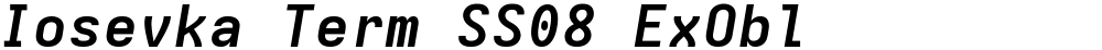 Iosevka Term SS08 ExObl