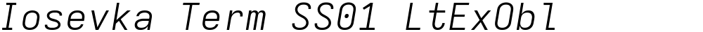 Iosevka Term SS01 LtExObl