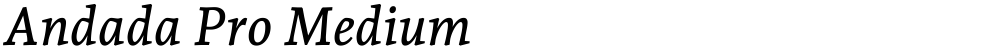 Andada Pro Medium