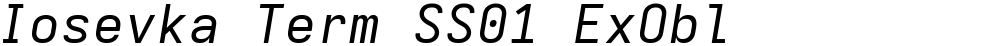 Iosevka Term SS01 ExObl
