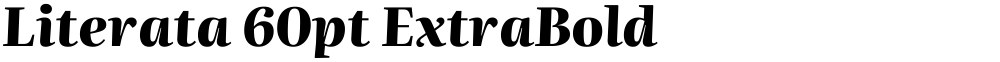 Literata 60pt ExtraBold