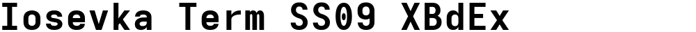 Iosevka Term SS09 XBdEx