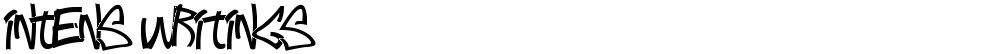 Intens writings