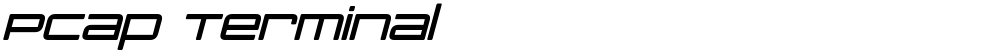 PCap Terminal