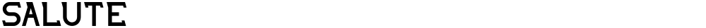 SALUTE