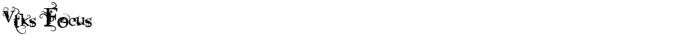 Vtks Focus