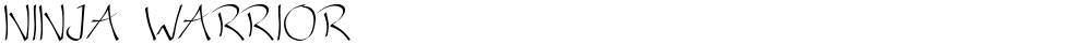 NINJA WARRIOR