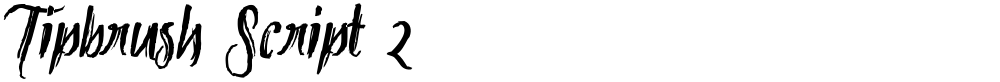 Tipbrush Script 2