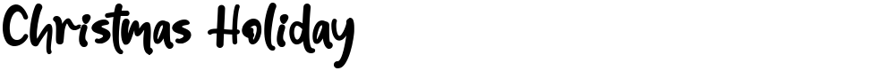 Christmas Holiday