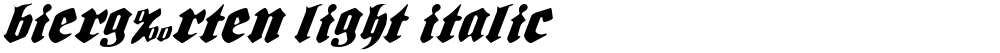 Bierg‰rten Light Italic